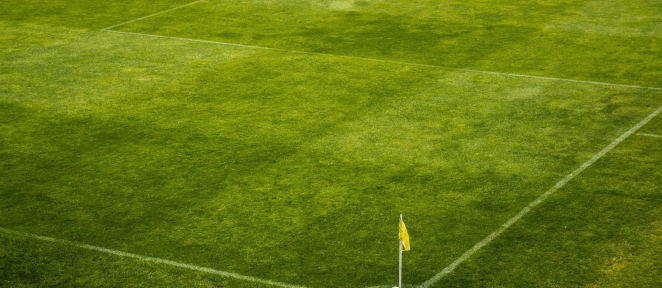 Como Comprar Bilhetes para os Jogos do Benfica